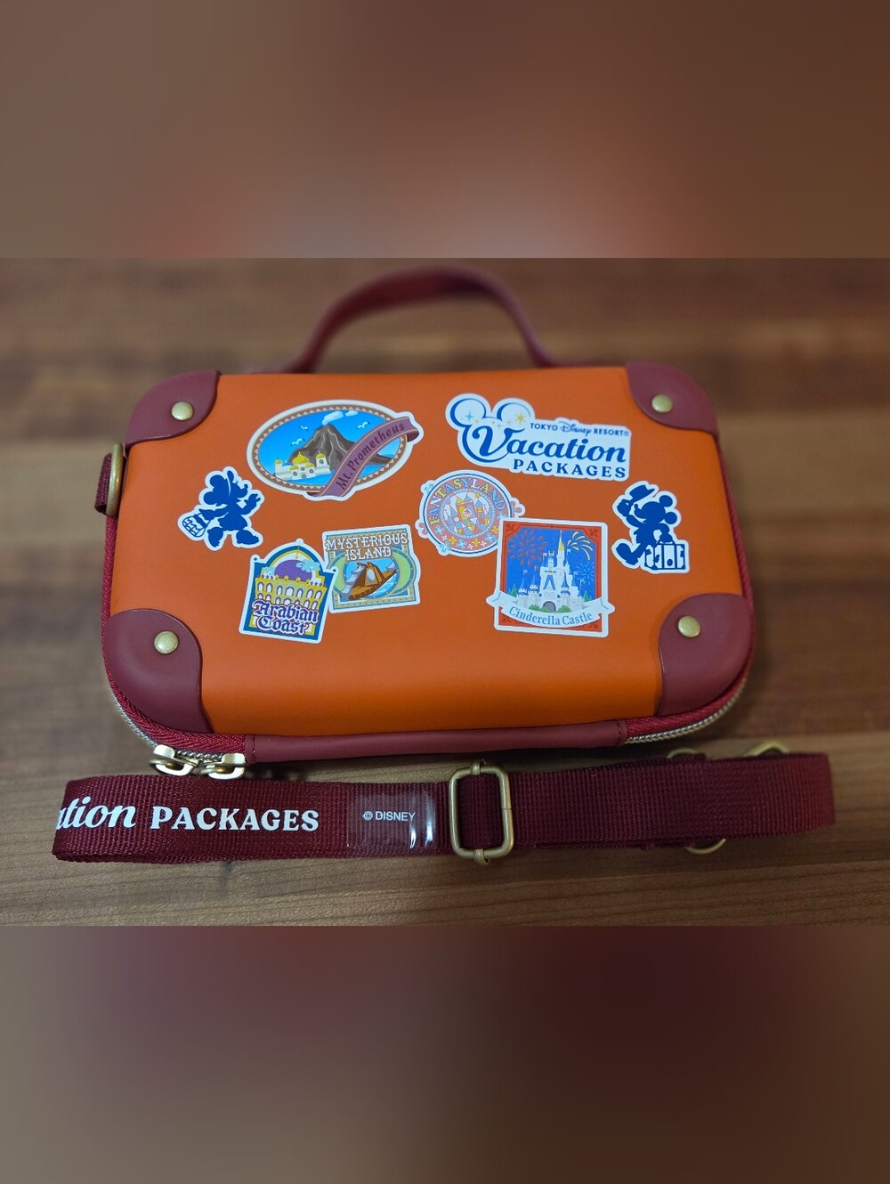 New Toyko Disneyland Vacation Package Bag.